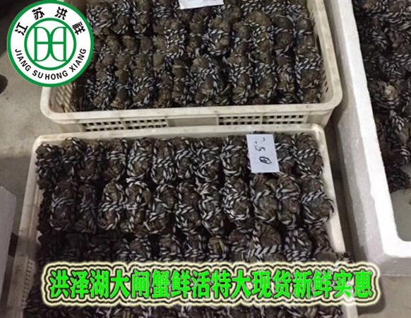 GYKM高速水墨印刷開槽模切機